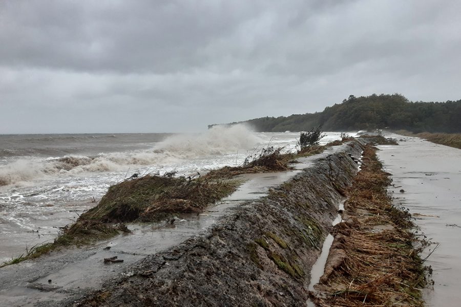 Museum Lolland-Falster vil gerne dokumentere stormfloden. Foto: Museum Lolland Falster