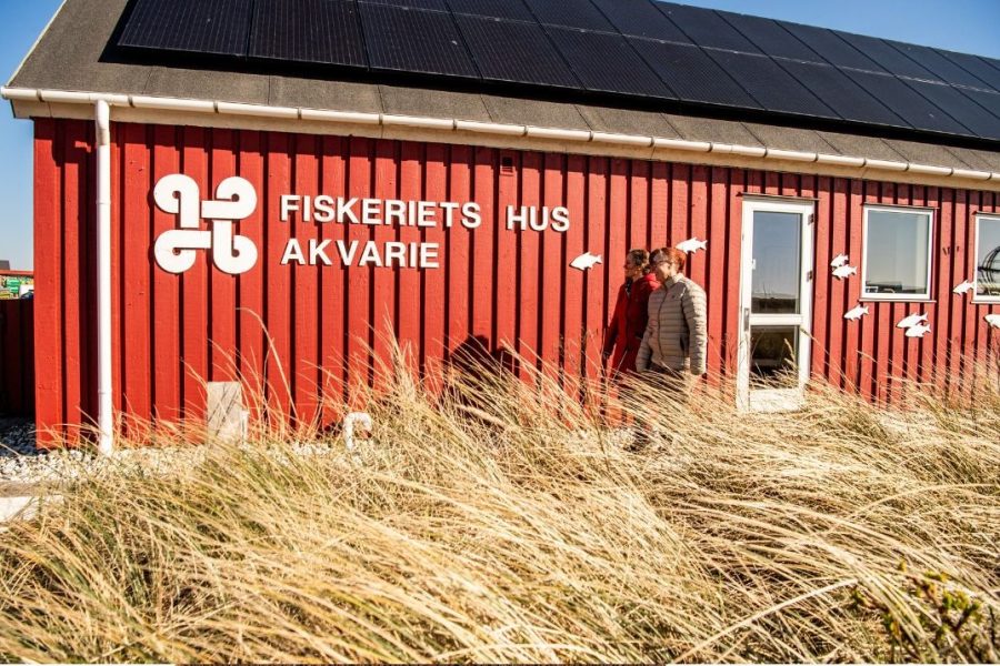 Fiskeriets Hus har en unik beliggenhed midt i fiskersamfundet Hvide Sande. Foto: Fiskeriets Hun